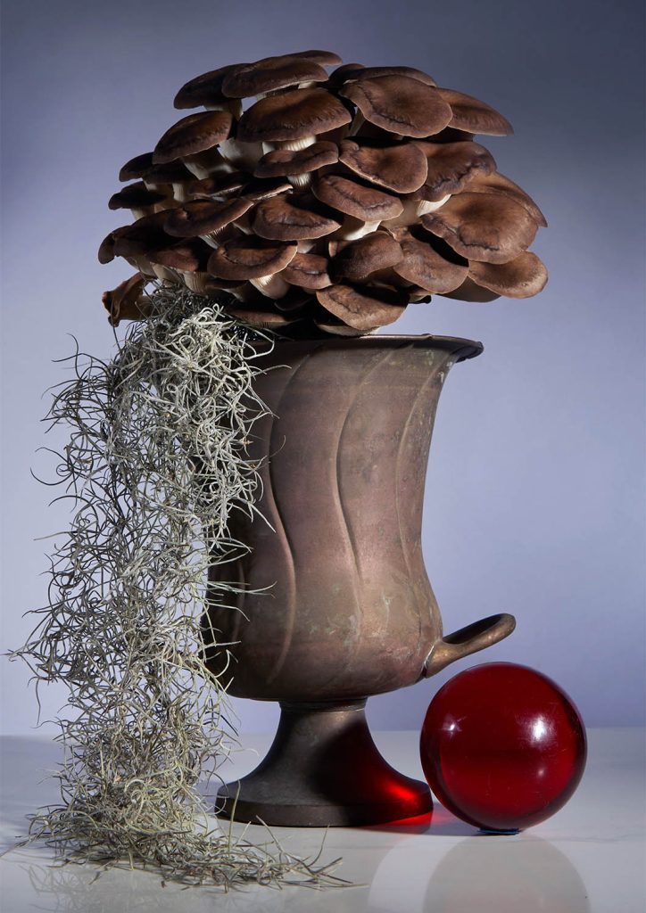 mushroom trophee